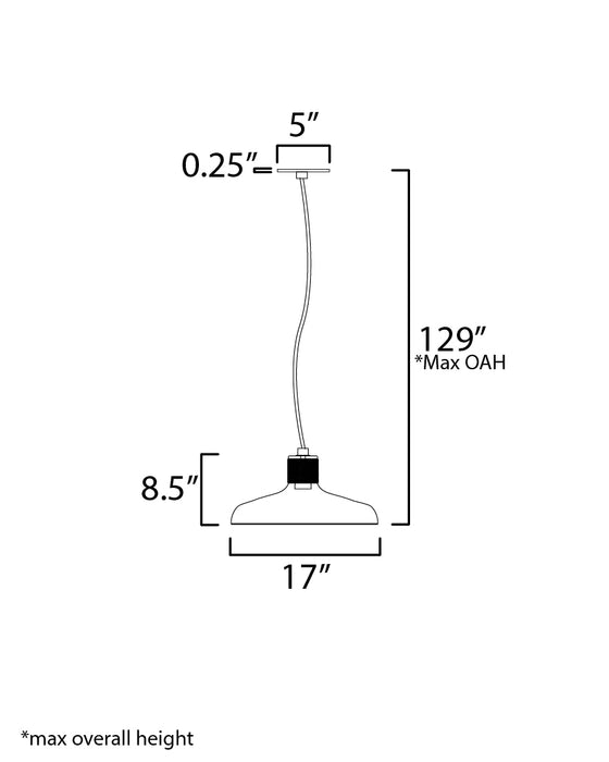Maxim Bingham Large Pendant Model: 22494CP