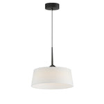 Maxim Paramount 16 LED Pendant Model: 10334WTBK