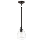 Maxim Babylon 1-Light Pendant Model: 11112CLBK