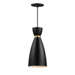 Maxim Carillon 1-Light Elongated Mini Pendant Model: 11301BKSBR