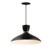 Maxim Carillon 16 Pendant Model: 11304BKSBR