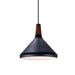 Maxim Nordic 1-Light Pendant Model: 11350WNBK