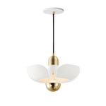 Maxim Poppy 12 Pendant Model: 11391WTSBR