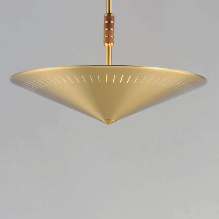 Maxim Helsinki 20 Pendant Model: 11436NAB