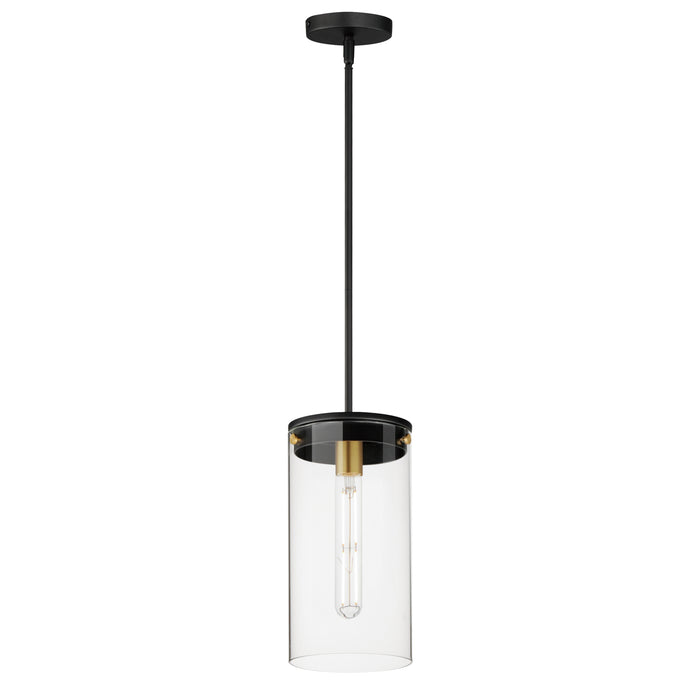 Maxim Pinn Large Single Pendant Model: 12408CLBKSBR