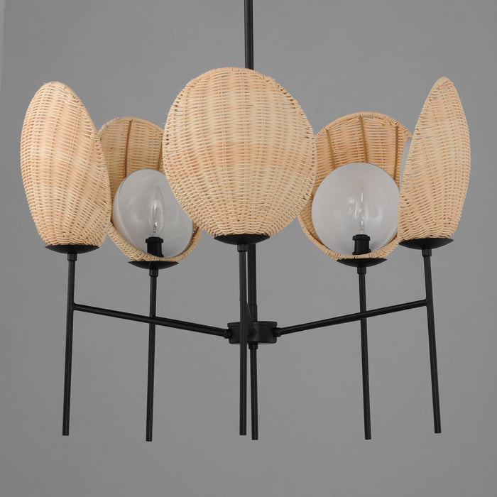 Maxim Maldives 5-Light Chandelier Model: 12605NABK