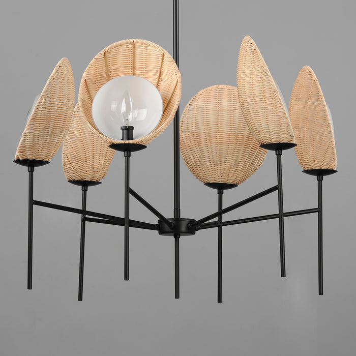 Maxim Maldives 6-Light Chandelier Model: 12606NABK