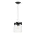 Maxim Scoop 1-Light Pendant/Flush Mount Model: 21230CLBK