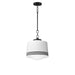 Maxim Eureka 1-Light Pendant Model: 21532WTBK