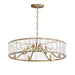 Maxim Odeon 6-Light Chandelier Model: 21866BCGS