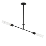 Maxim Equilibrium 2-Light LED Pendant Model: 26372CLBK