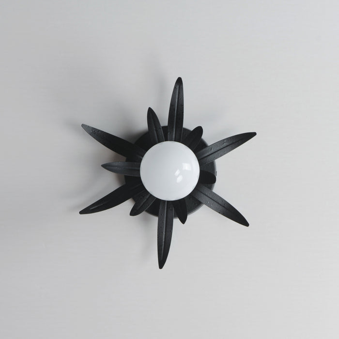 Maxim Paloma 1-Light Sconce Model: 2880AR