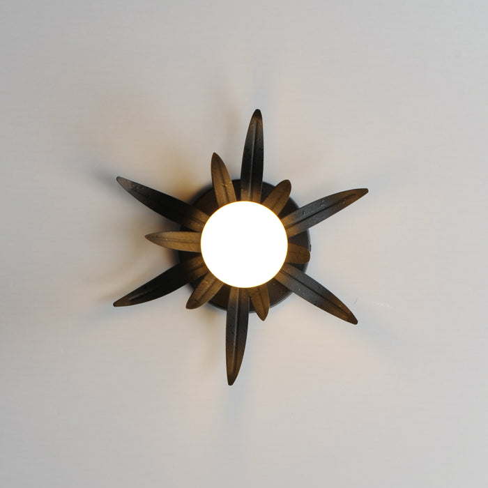 Maxim Paloma 1-Light Sconce Model: 2880AR