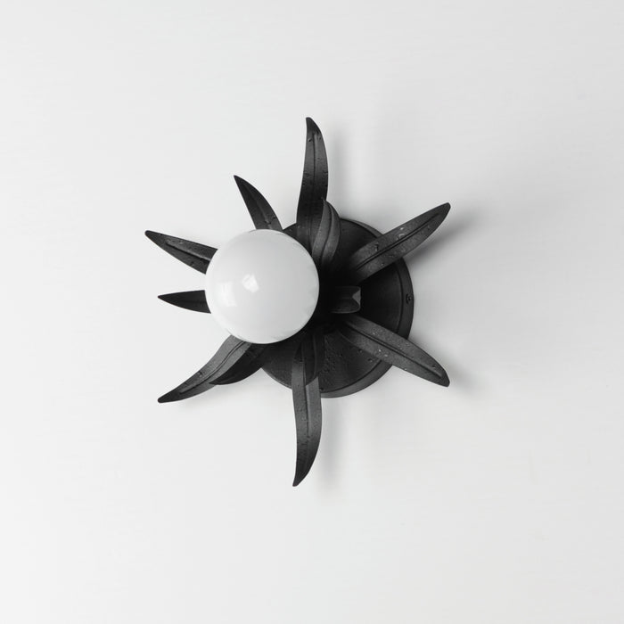 Maxim Paloma 1-Light Sconce Model: 2880AR