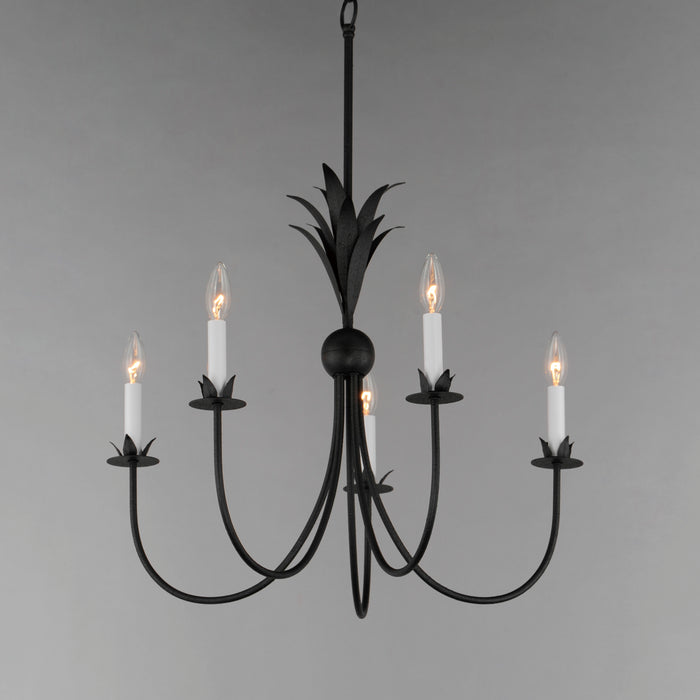 Maxim Paloma 5-Light Chandelier Model: 2885AR