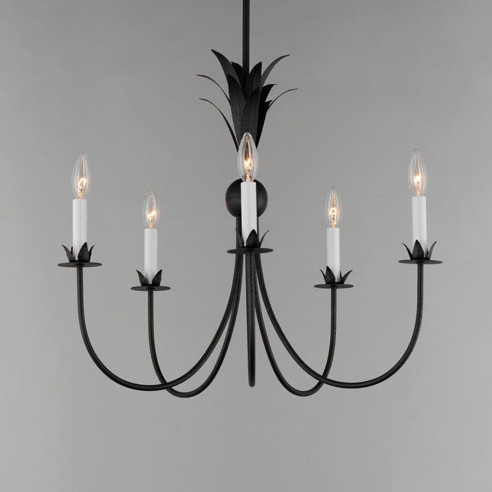 Maxim Paloma 5-Light Chandelier Model: 2885AR