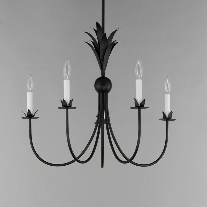 Maxim Paloma 5-Light Chandelier Model: 2885AR