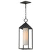 Maxim Aldous 1-Light Outdoor Pendant Model: 30079SWBK