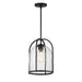 Maxim Foundry 1-Light Pendant Model: 30194CDBK