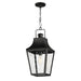 Maxim Storybook 1-Light Outdoor Pendant Model: 30369CLBK