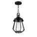 Maxim Mariner Medium Outdoor Pendant Model: 30621CDBKAB