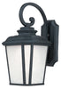 Maxim Radcliffe 1-Light Large Outdoor Wall Model: 3346WFBO