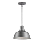 Maxim Pier M 1-Light Outdoor Pendant Model: 35017WZ