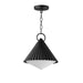 Maxim Odette 13 Pendant Model: 35131WTBK