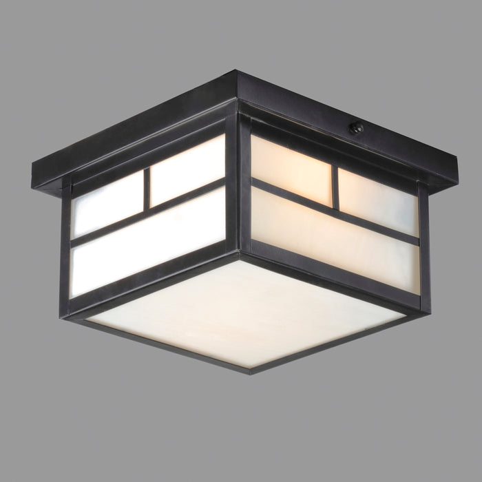 Maxim Coldwater 2-Light Outdoor Ceiling Mount Model: 4059WTBK