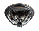 Maxim Camden 3-Light Outdoor Ceiling Mount Model: 41420WGGO