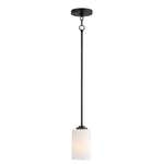 Maxim Deven 1-Light Mini Pendant Model: 90030SWBK