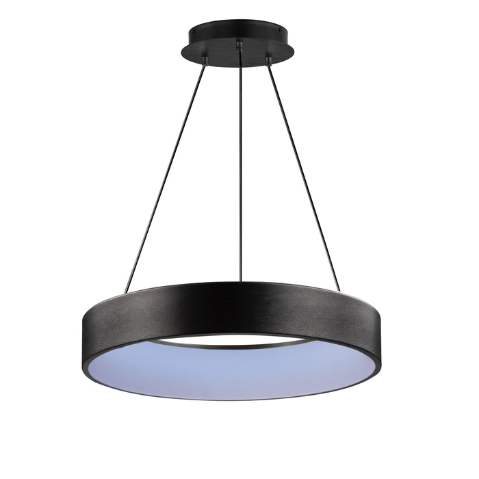 ET2 iQ 24 LED Pendant WiZ Color Model: E31258-BBK