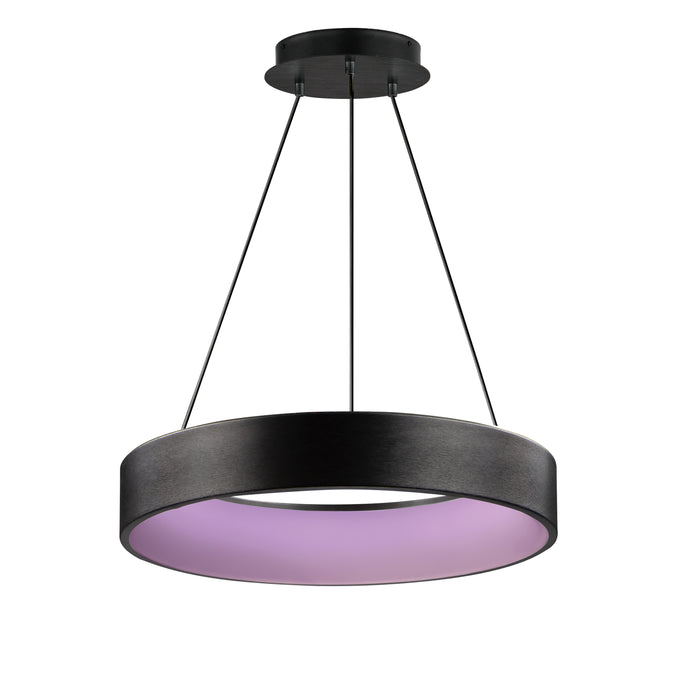 ET2 iQ 24 LED Pendant WiZ Color Model: E31258-BBK