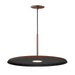 ET2 Berliner 20 LED Pendant Model: E34002-ACP