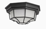 Maxim Crown Hill 2-Light Outdoor Ceiling Mount Model: 1020BK