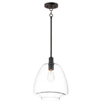 Maxim Babylon 1-Light Pendant Model: 11116CLBK