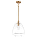 Maxim Babylon 1-Light Pendant Model: 11116CLSBR