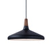 Maxim Nordic 1-Light Pendant Model: 11354WNBK