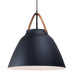 Maxim Nordic 1-Light Pendant Model: 11358TNBK