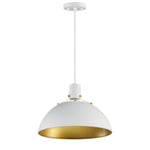 Maxim Dawn 15.5 Pendant Model: 12045WTSBR