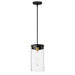 Maxim Pinn Large Single Pendant Model: 12408CLBKSBR