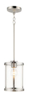 Maxim Sentinel 1-Light Mini Pendant Model: 25252CLSN