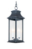 Maxim Vicksburg 2-Light Outdoor Hanging Lantern Model: 30029CLBK