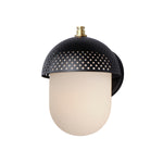 Maxim Perf 1-Light Outdoor Wall Sconce Model: 30182WTBKGLD