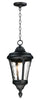 Maxim Sentry 1-Light Outdoor Hanging Pendant Model: 3058WGBK