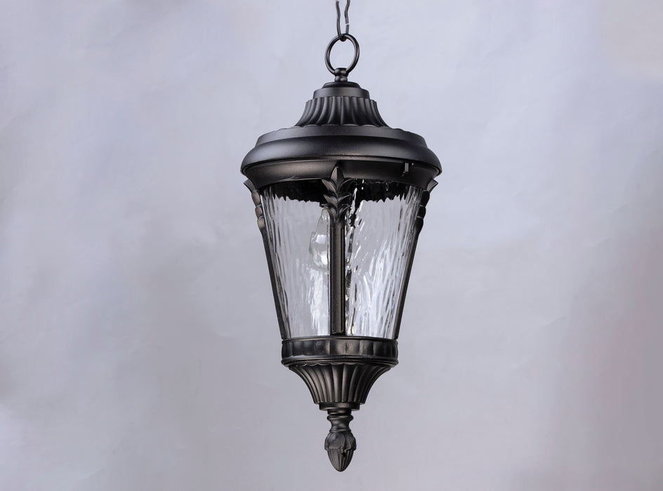 Maxim Sentry 1-Light Outdoor Hanging Pendant Model: 3058WGBK