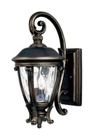 Maxim Camden VX 2-Light Outdoor Wall Lantern Model: 41424WGGO