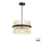 ET2 Chimes 24'' LED Pendant WiZ Model: E34205-BKSBR