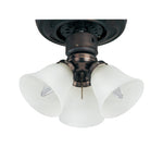 Maxim 3-Light Ceiling Fan Light Kit Model: FKT207FTOI