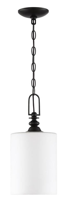 Craftmade Dardyn 1 Light Mini Pendant Model: 49891-ESP